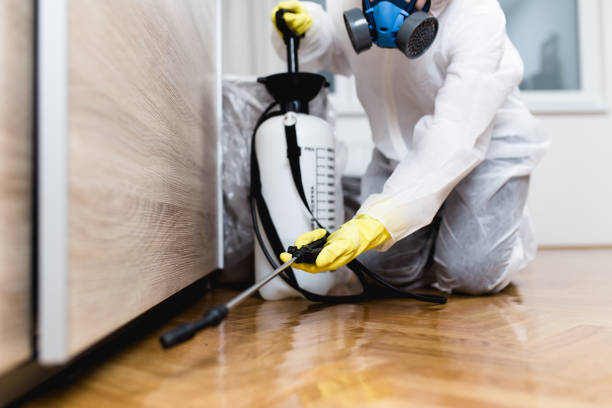 Best Emergency Pest Control  in Kingstree, SC