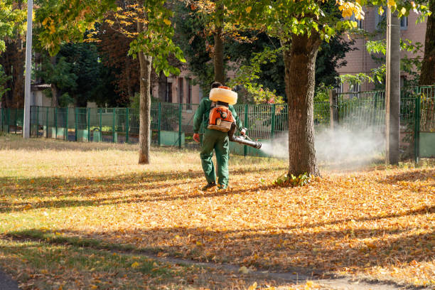 Professional Pest Control in Kingstree, SC