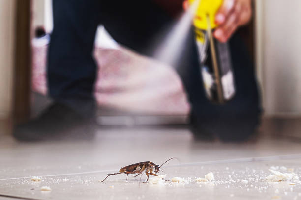 Best Pest Removal Services  in Kingstree, SC
