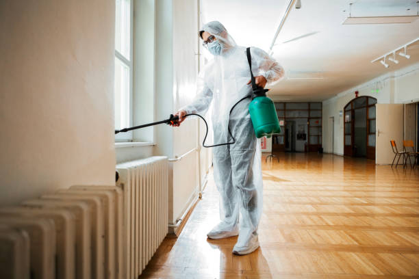 Best Affordable Pest Control Services  in Kingstree, SC
