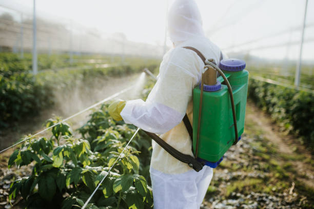 Best Wasp Removal Services  in Kingstree, SC
